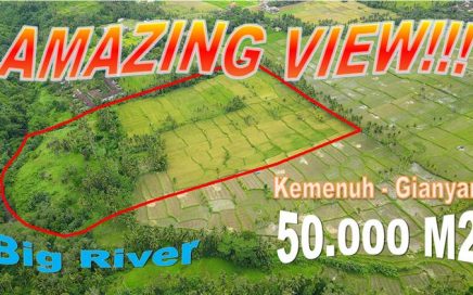 JUAL TANAH MURAH di UBUD BALI 500.0 Are di Sukawati Ubud