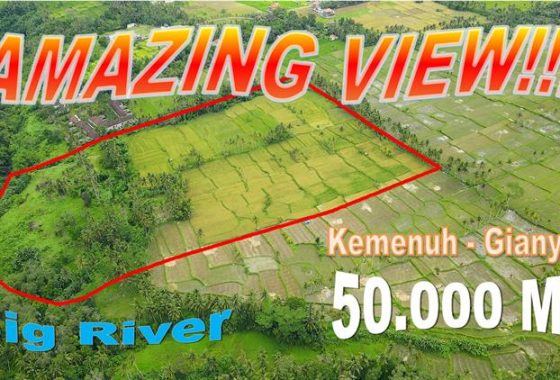 JUAL TANAH MURAH di UBUD BALI 500.0 Are di Sukawati Ubud