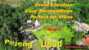 JUAL TANAH MURAH di UBUD Untuk INVESTASI TJUB888