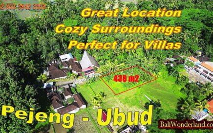 JUAL TANAH MURAH di UBUD Untuk INVESTASI TJUB888