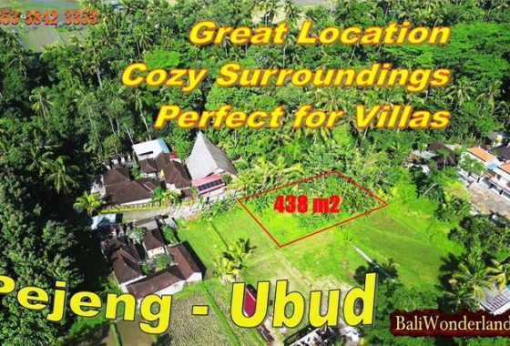 JUAL TANAH MURAH di UBUD Untuk INVESTASI TJUB888