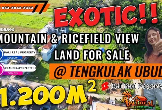 TANAH MURAH di UBUD BALI DIJUAL TJUB890