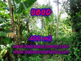 TANAH DI UBUD MURAH DIJUAL TJUB371 - INVESTASI PROPERTY DI BALI