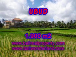 Tanah di Ubud dijual 1.900 m2 view sawah dekat sungai di Dekat sentral Ubud