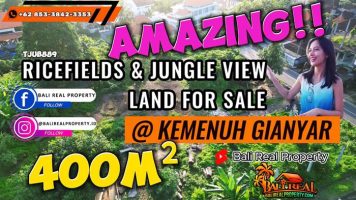 JUAL TANAH MURAH di UBUD 4.0 Are View Sawah dan Kebun Pinggir jalan