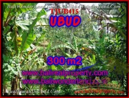 TANAH di UBUD BALI DIJUAL 300 m2  View kebun alami