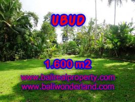 DIJUAL TANAH DI UBUD RP 3.850.000 / M2 - TJUB416 - INVESTASI PROPERTY DI BALI