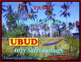 DIJUAL TANAH MURAH di UBUD BALI Untuk INVESTASI TJUB433