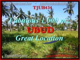 JUAL TANAH MURAH di UBUD 1,000 m2  View kebun