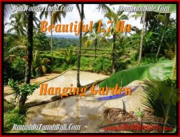 TANAH DIJUAL di UBUD 170 Are View tebing,sawah,sungai ayung