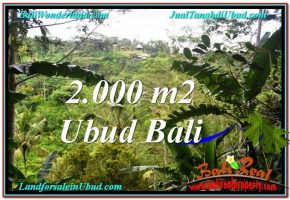 TANAH MURAH DIJUAL di UBUD BALI 20 Are di Ubud Payangan