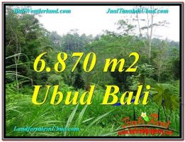 JUAL MURAH TANAH di UBUD 69 Are View Kebun, Sungai dan Tebing