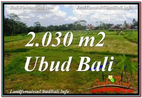 TANAH MURAH DIJUAL di UBUD BALI 20 Are di Ubud Tegalalang