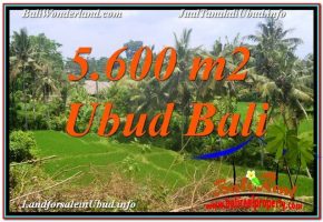 JUAL TANAH di UBUD 56 Are View Sawah, Link. Villa