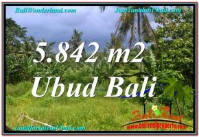 JUAL TANAH MURAH di UBUD 58 Are View Tebing dan Sungai, Link. Villa