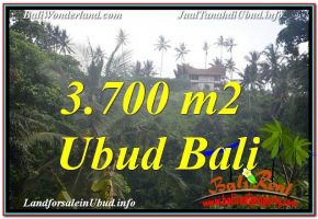 JUAL TANAH MURAH di UBUD BALI 3,700 m2 di Sentral / Ubud Center