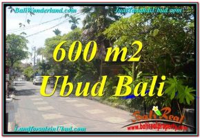 DIJUAL TANAH di UBUD BALI 600 m2 di Sentral / Ubud Center