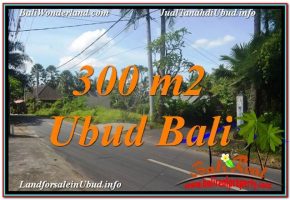 TANAH MURAH DIJUAL di UBUD BALI 3 Are di Sentral / Ubud Center