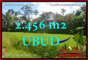 TANAH MURAH di UBUD BALI Untuk INVESTASI TJUB654