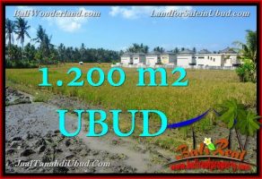TANAH di UBUD BALI DIJUAL MURAH 1,200 m2 di Sentral Ubud