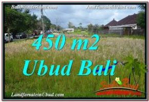 DIJUAL TANAH di UBUD BALI Untuk INVESTASI TJUB671