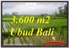 TANAH MURAH di UBUD DIJUAL 36 Are di UBUD TEGALALANG