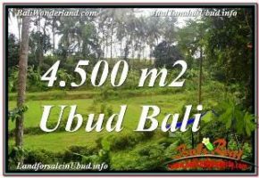 JUAL MURAH TANAH di UBUD 4,500 m2  VIEW LINGKUNGAN VILLA