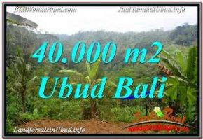 JUAL MURAH TANAH di UBUD BALI 400 Are VIEW SUNGAI DAN TEBING