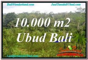 TANAH di UBUD BALI DIJUAL 10,500 m2 di UBUD TAMPAK SIRING
