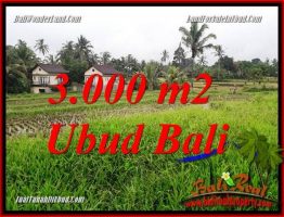 Tanah di Ubud Bali Dijual 30 Are View sawah dan pangkung