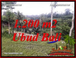 JUAL Murah Tanah di Ubud Bali 12 Are View sawah dan sungai