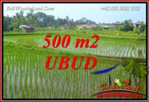 Tanah Murah Dijual di Ubud Bali 500 m2 di Sentral Ubud