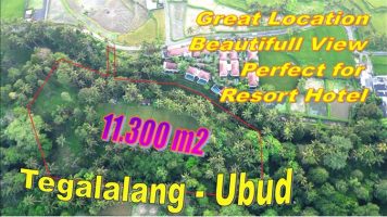 TANAH di UBUD BALI DIJUAL MURAH 11.300 m2 di Kenderan Tegallalang