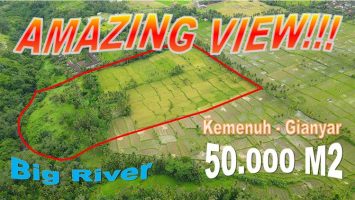 JUAL TANAH DI UBUD BALI 50,000 m2 View Sawah, Hutan  dan Sungai Petanu