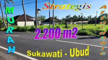 JUAL TANAH DI UBUD Sukawati 22.0 Are View Sawah dan Gunung